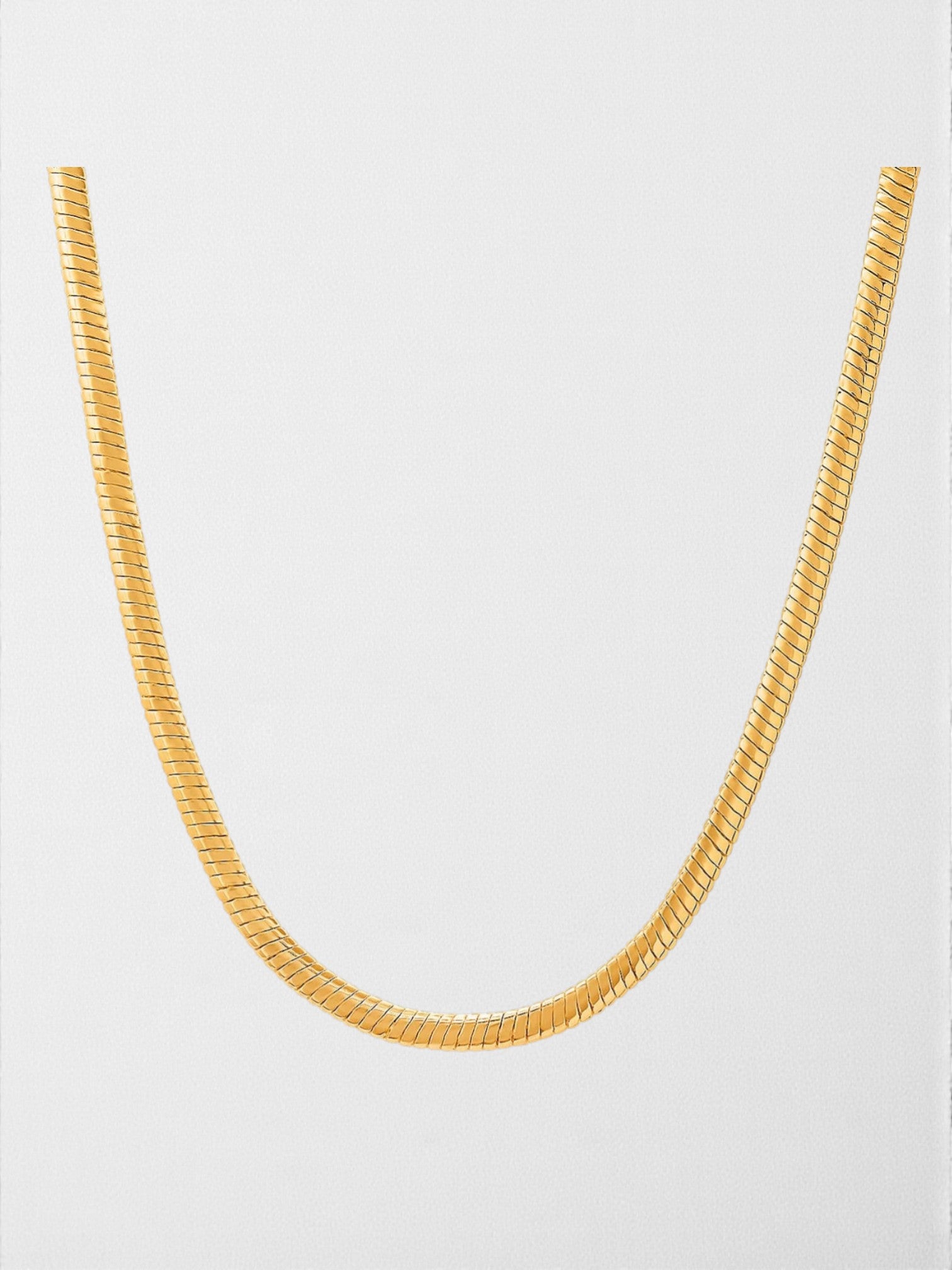 The Lucent Snake Chain